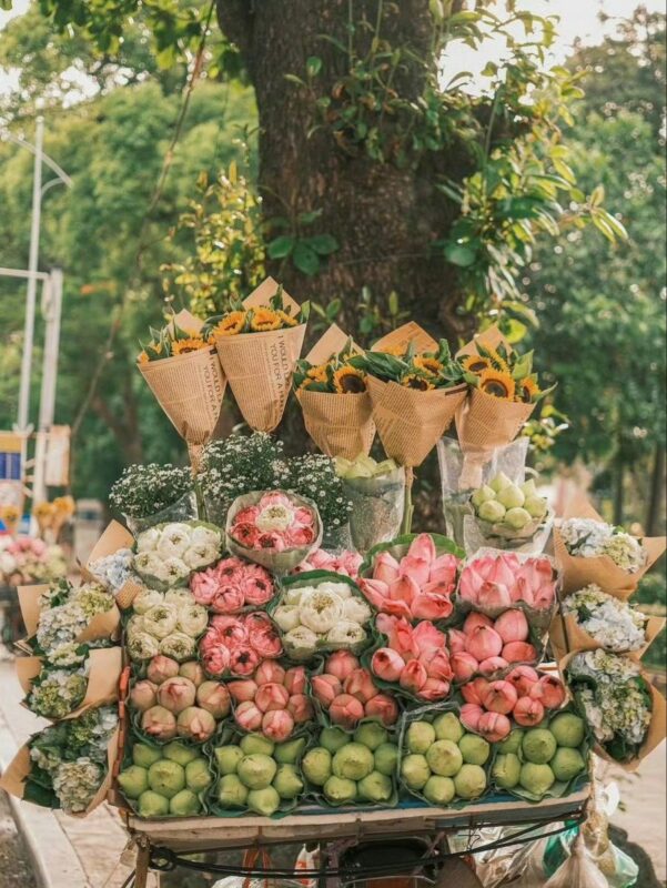 Mùa thu Hà Nội khiến du khách say lòng (Nguồn ảnh: Sưu tầm)