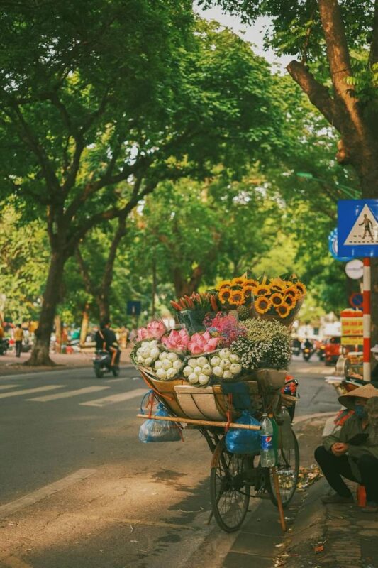 Vẻ đẹp lãng mạn của mùa thu Hà Nội (Nguồn ảnh: Sưu tầm)