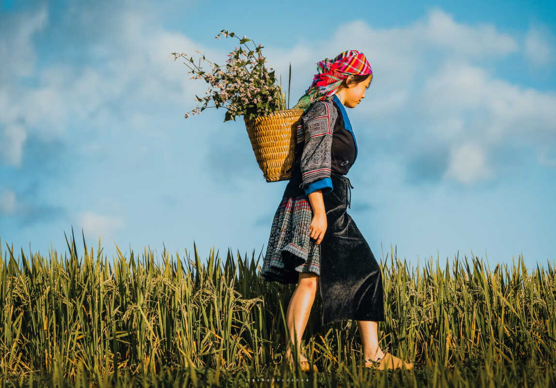 Nét đẹp lao động của người vùng cao (Nguồn ảnh: Nguyễn Khánh Vũ Khoa)