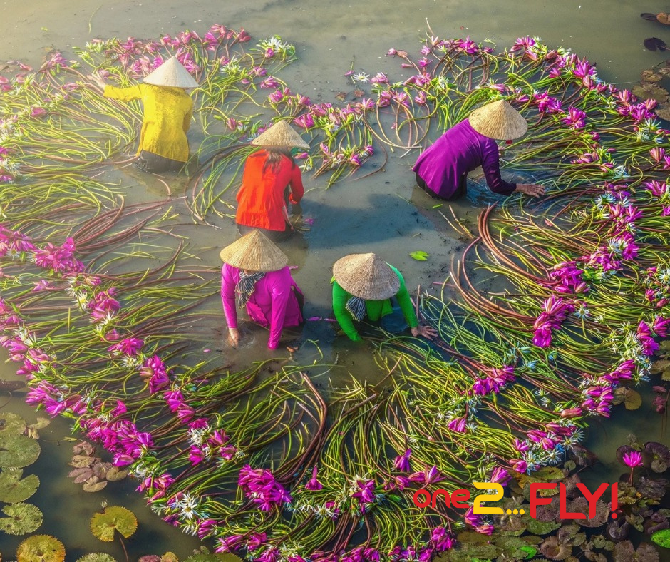 Lựa chọn khung giờ phù hợp để có những bức ảnh đẹp nhất