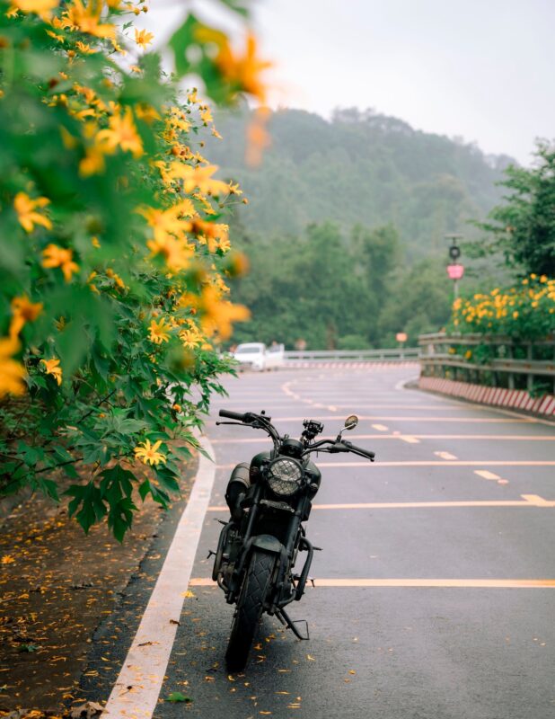 Mọi góc chụp đều trở thành bức hình “triệu like”.