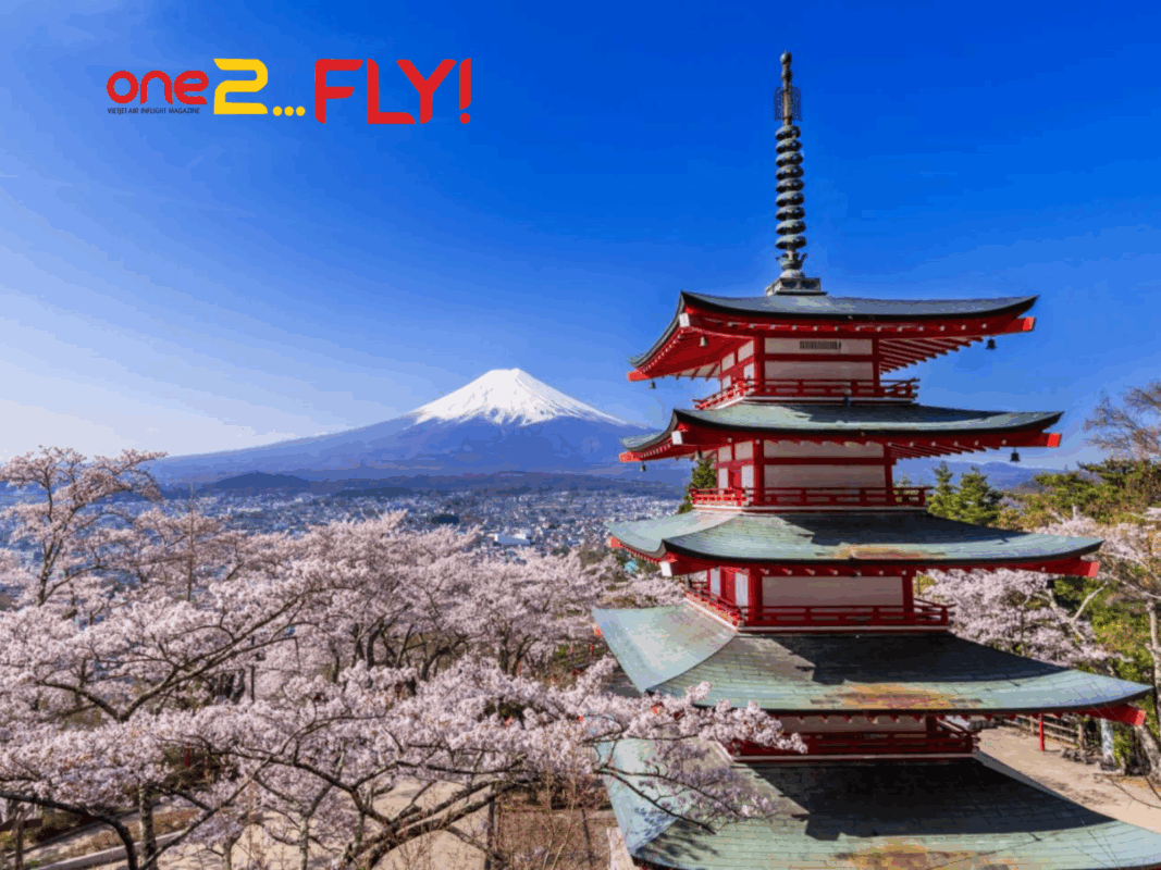 Thúc đẩy thương mại, hợp tác giáo dục và giao lưu văn hoá giữa hai quốc gia