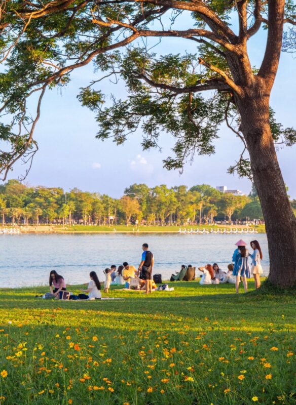 Dạo bộ, picnic ven sông vào lúc chiều tà để tận hưởng không khí trong lành.