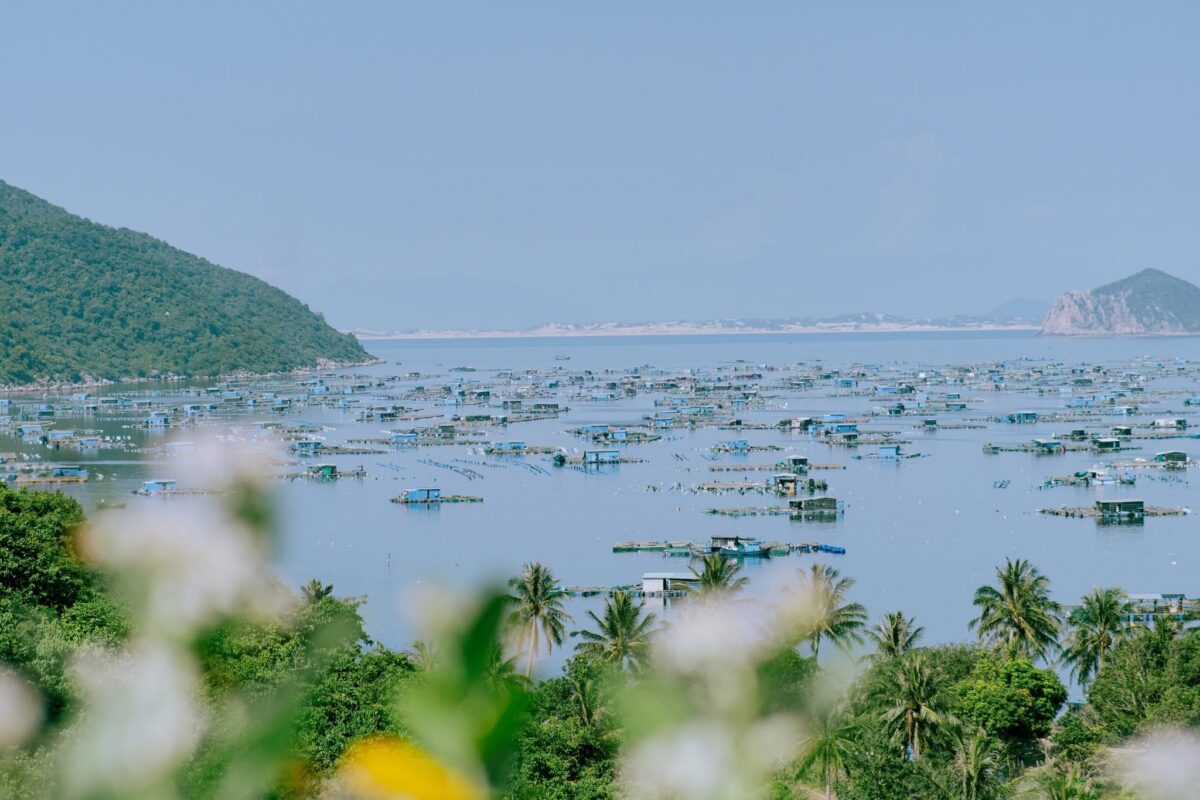 Khám phá biển Phú Yên và tìm lại những khoảng bình yên